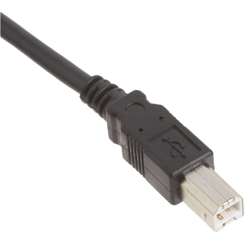C&E CNE02608 USB 2.0 6-Feet Printer Cable Cord A-B for Canon Pixma