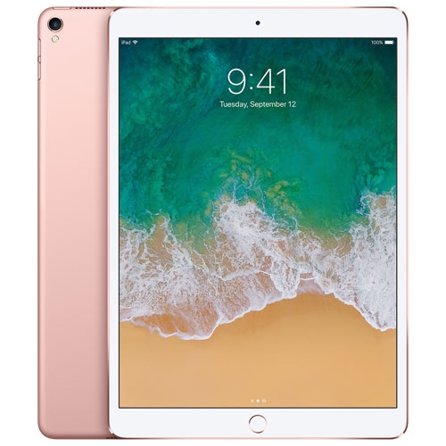 Rose Gold iPads | Best Buy Canada
