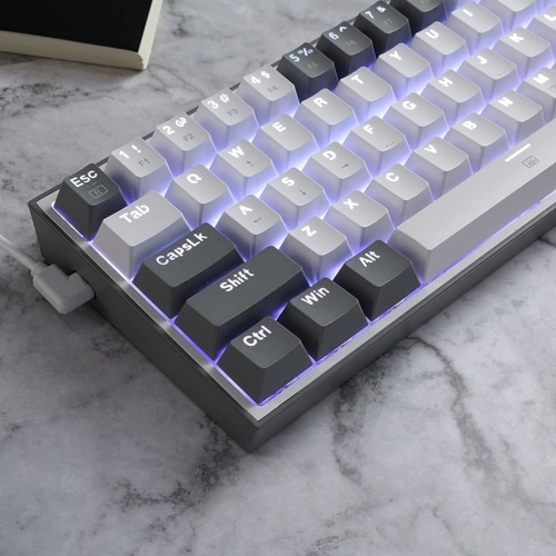60% Wired RGB Gaming Keyboard, 61 Keys Compact Mechanical Keyboard w/White & Grey Mixed-Colored Keycaps, Linear Red Switch, Pro Driver Support