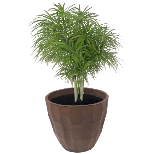 Sunnydaze 15.75 in Pebbled Polyresin Outdoor Planter - Dark Brown