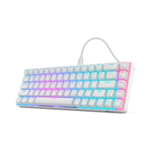 Wired 65% RGB Backlit Ultra-Compact 60% Layout 68 Keys Gaming Keyboard, Hot Swappable Keyboard with Stand-Alone Arrow/Control Keys, Blue Switch, White