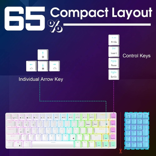 Wired 65% RGB Backlit Ultra-Compact 60% Layout 68 Keys Gaming Keyboard, Hot Swappable Keyboard with Stand-Alone Arrow/Control Keys, Blue Switch, White