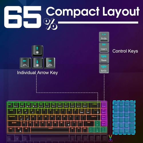 Wired 65% RGB Backlit Ultra-Compact 60% Layout 68 Keys Gaming Keyboard, Hot Swappable Keyboard with Stand-Alone Arrow/Control Keys, Blue Switch, Black