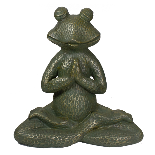 Yoga Frog -  Canada