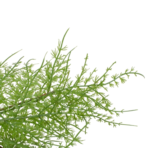 Real Touch Artificial Cedar Christmas Wreath - 24" - Unlit