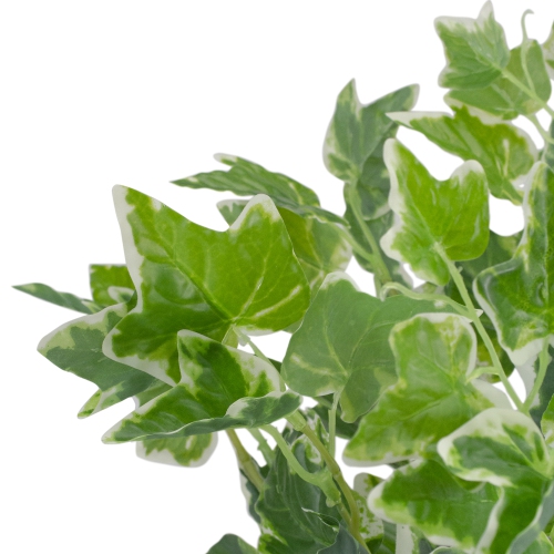 19" Green and White Two Toned Artificial Sweet Potato Spring Floral Bush