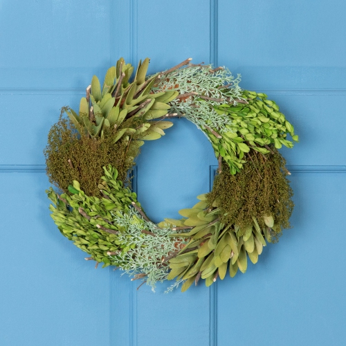 NORTHLIGHT  Cedar, Succulent And Day Grass Artificial Spring Wreath -14-Inch In Green