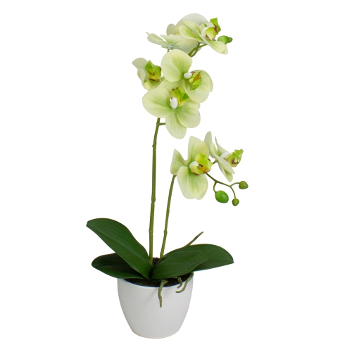 NORTHLIGHT  Real Touchartificial Orchid Potted Plant - 14" - In Green