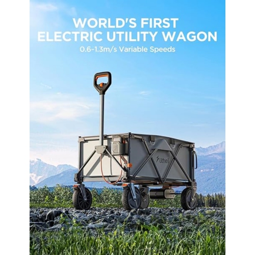 Chariot électrique pliable de Litheli
