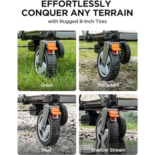 Chariot électrique pliable de Litheli