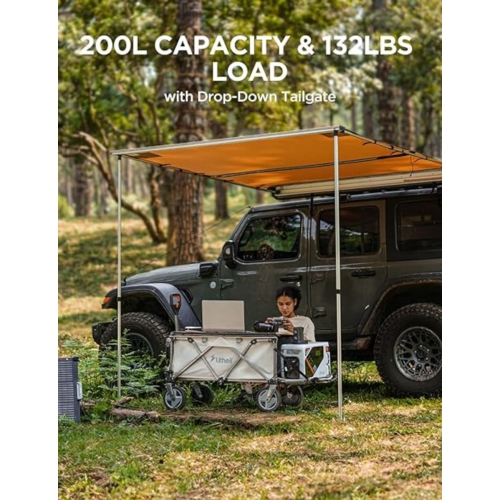 Chariot électrique pliable de Litheli