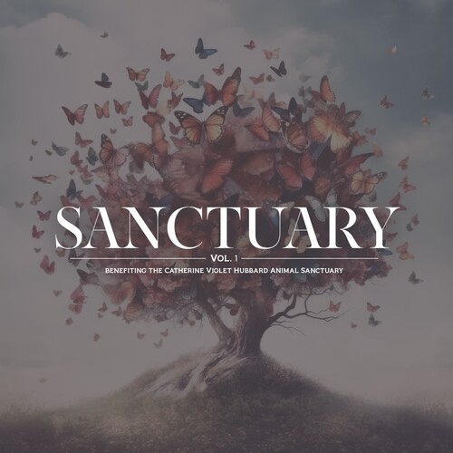 Various Artists - Sanctuary Vol. 1 [VINYL LP]