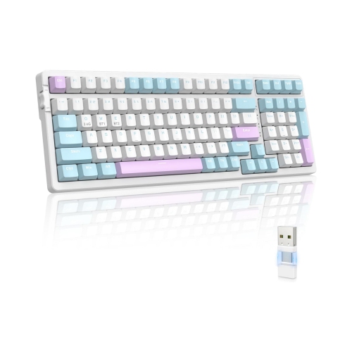 Wireless Mechanical Keyboard, Dual Mode 2.4G/BT5.0 2-in-1 Receiver, 100 Keys Hot Swappable Red Switches Gaming Keyboard with Number Pad for PC