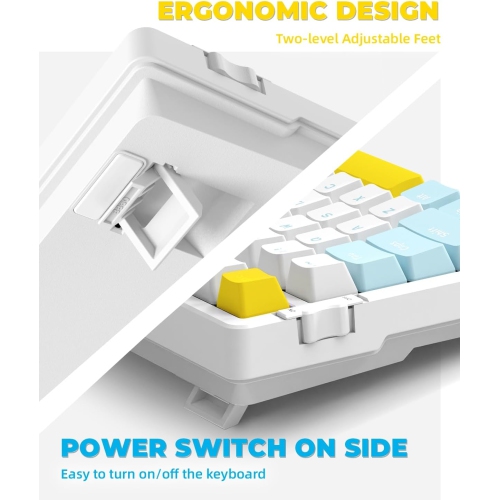 Wireless Mechanical Keyboard, Dual Mode 2.4G/BT5.0 2-in-1 Receiver, 100 Keys Hot Swappable Red Switches Gaming Keyboard with Number Pad for PC