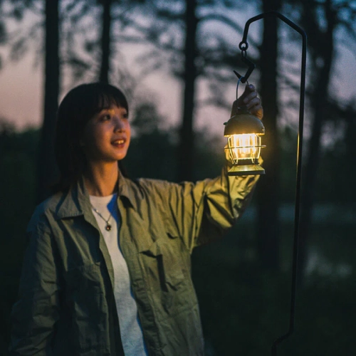 Naturehike MUSHROOM RECHARGEABLE MOOD LANTERN | Atmosphere Lighting Tent Hanging Charging Waterproof Lamp 70h High Endurance Travel Camping Picnic