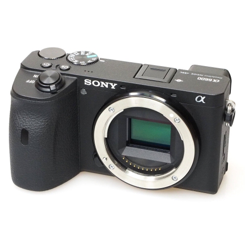 Sony Alpha a6600 Mirrorless Digital Camera - 12PC Accessory Bundle