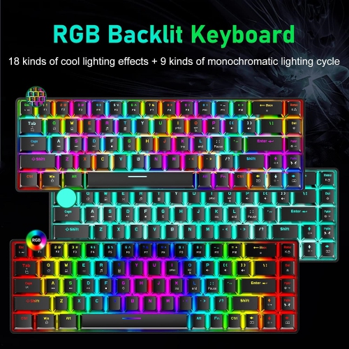 Wired 60% Mechanical Gaming Keyboard, RGB Lights Compact 68 Key Mini Keyboard with Type C Charger and Blue Switch, for Mac Windows PC PS4 Gamer, Black