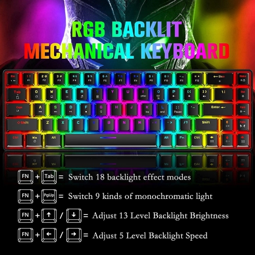 Wired 60% Mechanical Gaming Keyboard, RGB Lights Compact 68 Key Mini Keyboard with Type C Charger and Blue Switch, for Mac Windows PC PS4 Gamer, Black