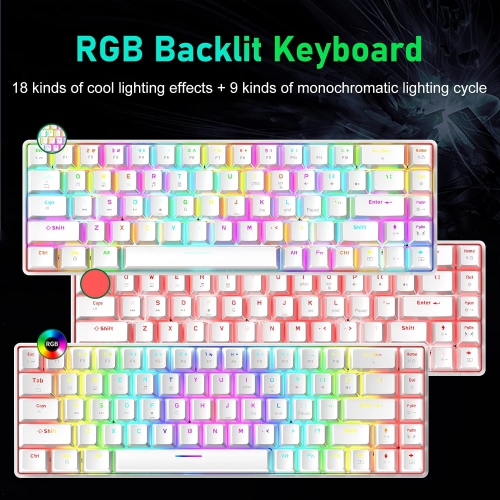 Wired 60% Mechanical Gaming Keyboard, RGB Lights Compact 68 Key Mini Keyboard with Type C Charger and Blue Switch, for Mac Windows PC PS4 Gamer, White