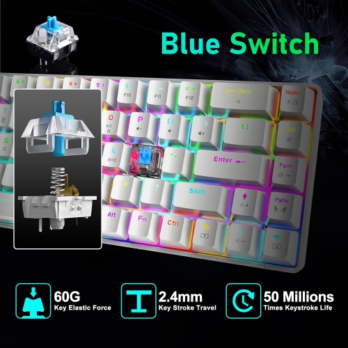 Wired 60% Mechanical Gaming Keyboard, RGB Lights Compact 68 Key Mini Keyboard with Type C Charger and Blue Switch, for Mac Windows PC PS4 Gamer, White
