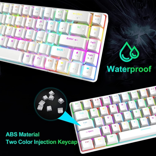 Wired 60% Mechanical Gaming Keyboard, RGB Lights Compact 68 Key Mini Keyboard with Type C Charger and Blue Switch, for Mac Windows PC PS4 Gamer, White