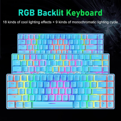 Wired 60% Mechanical Gaming Keyboard, RGB Lights Compact 68 Key Mini Keyboard with Type C Charger and Blue Switch, for Mac Windows PC PS4 Gamer, Blue