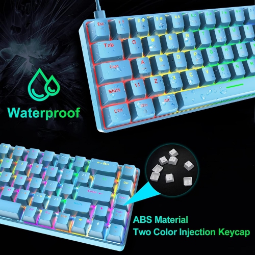 Wired 60% Mechanical Gaming Keyboard, RGB Lights Compact 68 Key Mini Keyboard with Type C Charger and Blue Switch, for Mac Windows PC PS4 Gamer, Blue