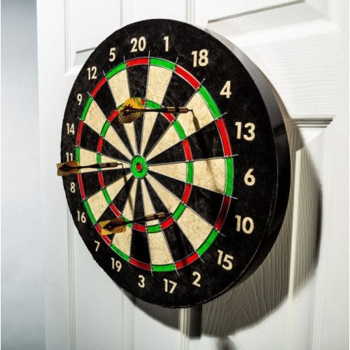 Pro Wire Bristle Dartboard