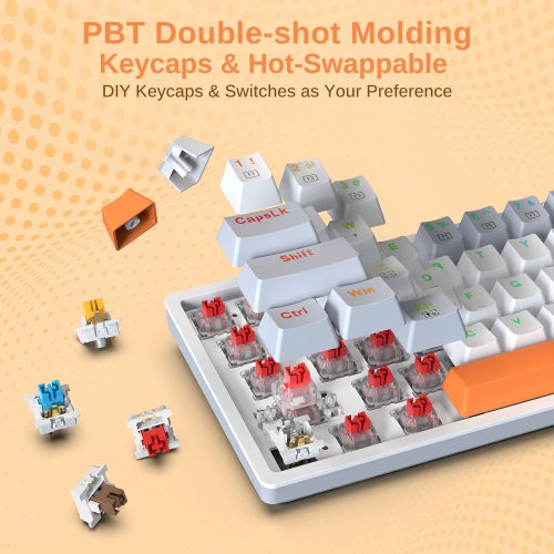 60% Keyboard Mechanical, RGB Backlit Hot-Swappable Red Switch Fully Programmable for Windows Laptop PC Mac, White Gray