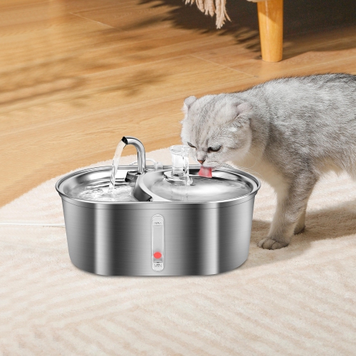 Fontaine d'eau automatique pour animal de compagnie en acier inoxydable de 3&nbsp;L, distributeur d'eau pour chien 3&nbsp;L/101&nbsp;oz avec fenêtre