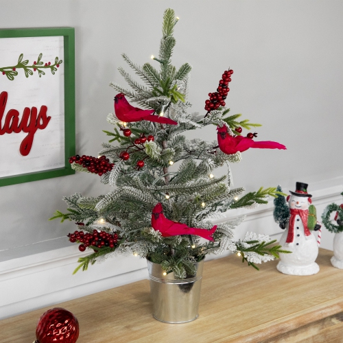 Pre-Lit LED Frosted Mixed Pine with Cardinals Potted Christmas Tree - 2' - Warm White Lights