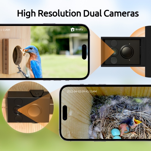 Netvue Birdfy Bird House with Dual Cameras for Bird Nesting and Hatching, Bird Nest Equipped with Temperature & Humidity Sensors