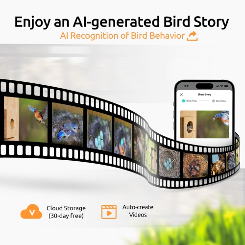 Netvue Birdfy Bird House with Dual Cameras for Bird Nesting and Hatching, Bird Nest Equipped with Temperature & Humidity Sensors