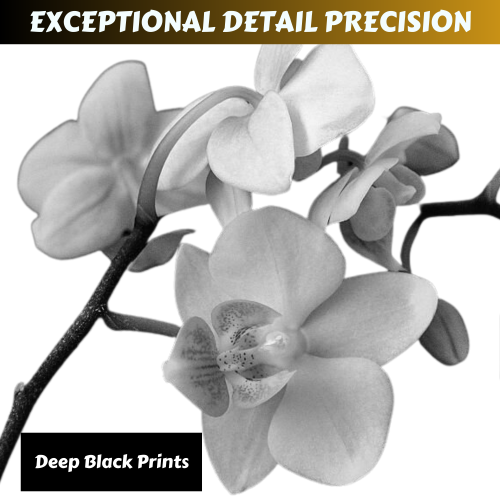 PRINTOXE® PB-211 Compatible 2 Toner Cartridges PB211 Replacement for Pantum P2200 P2500 P2500W M6500 M6500N M6500W M6500NW M6550 M6550N M6550NW M6600