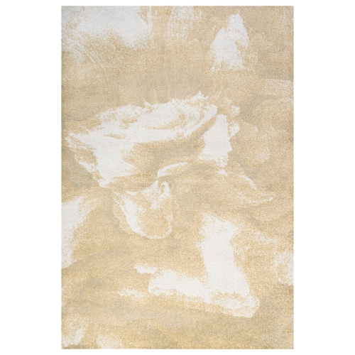 Image 1 de 10.. Tapis moderne bicolore abstrait Petalo