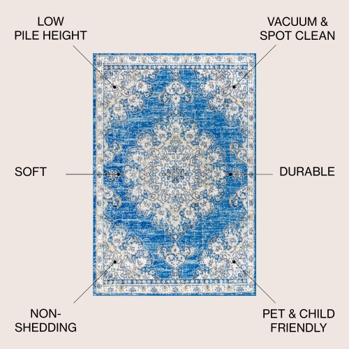 Leann Bohemian Flair Boho Vintage Medallion Area Rug