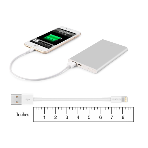 iPhone Charger Cord / 10 Pack 1FT