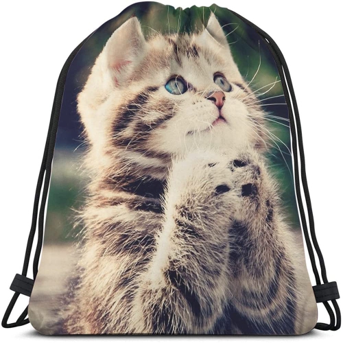 Kitty bookbags shop