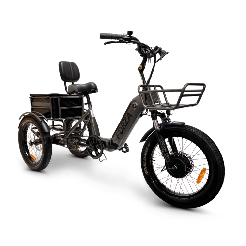 FORZA eBike | tricycle électrique pliable compact 500&nbsp;W - Gris cosmique