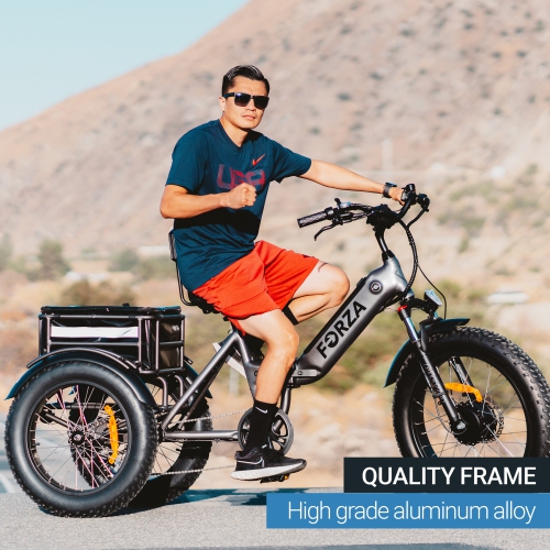 FORZA EBike | Compact 500W Foldable Electric Tricycle - Space Gray