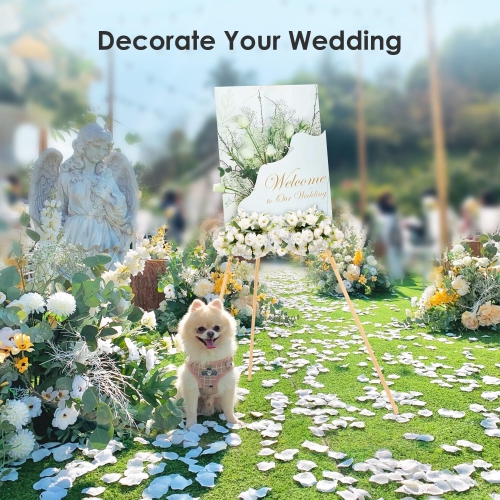 63" Foldable Lightweight Display Easel for Students and Artists, Wooden Tripod Versatile Easel Stand for Wedding Sign and Poster