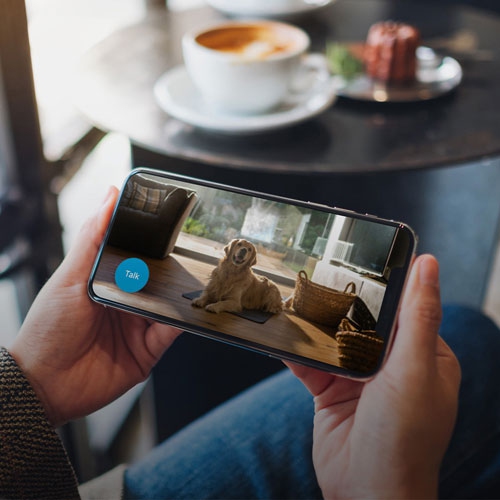 Blink Mini Wi-Fi Indoor 1080p IP Camera - 2 Pack - Black