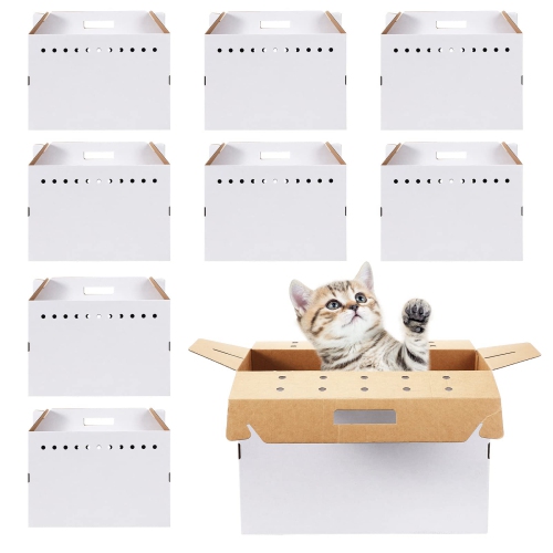 Cardboard pet shop carriers for cats