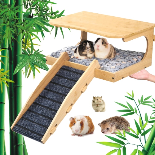 Hedgehog store cage accessories