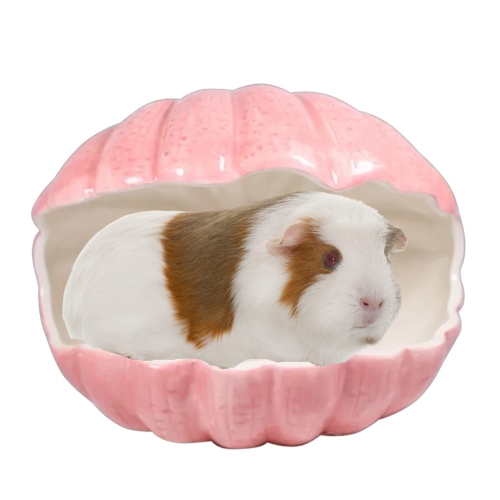 Guinea pig 2024 igloo house