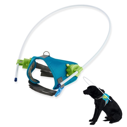 Blind best sale dog leash