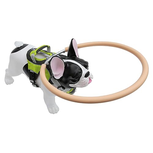 Halo harness hotsell for blind dog