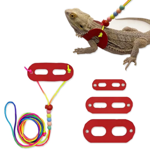 Dragon harness deals