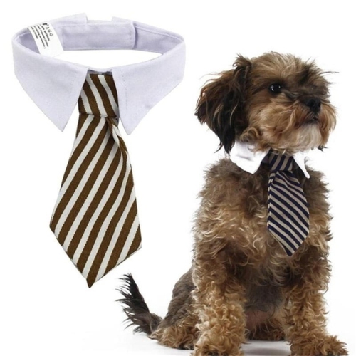 Collier élégant noeud papillon pour chiens et chats - cravate