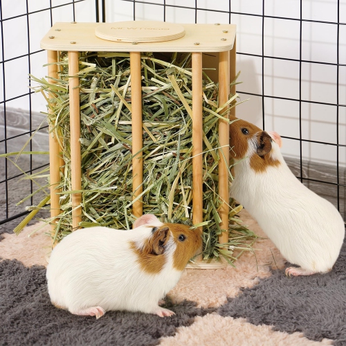 Hay container store for guinea pigs